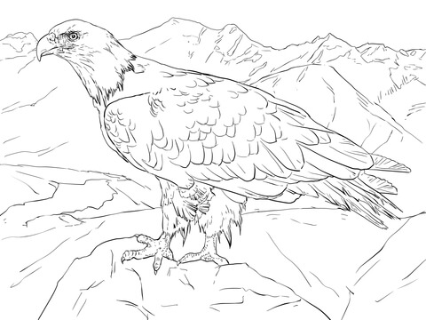 Bald Eagle Coloring Page